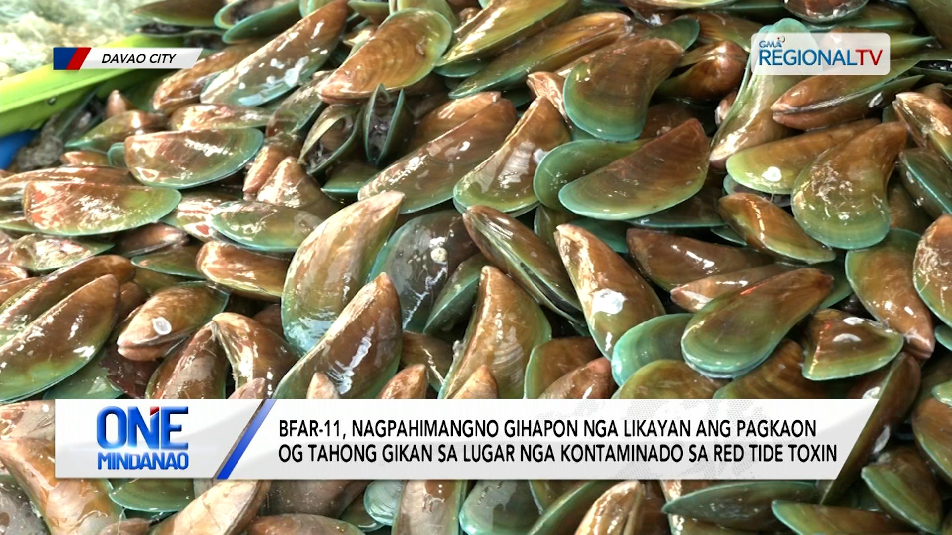 Mga tahong vendor sa Bankerohan, namaligya na pagbalik