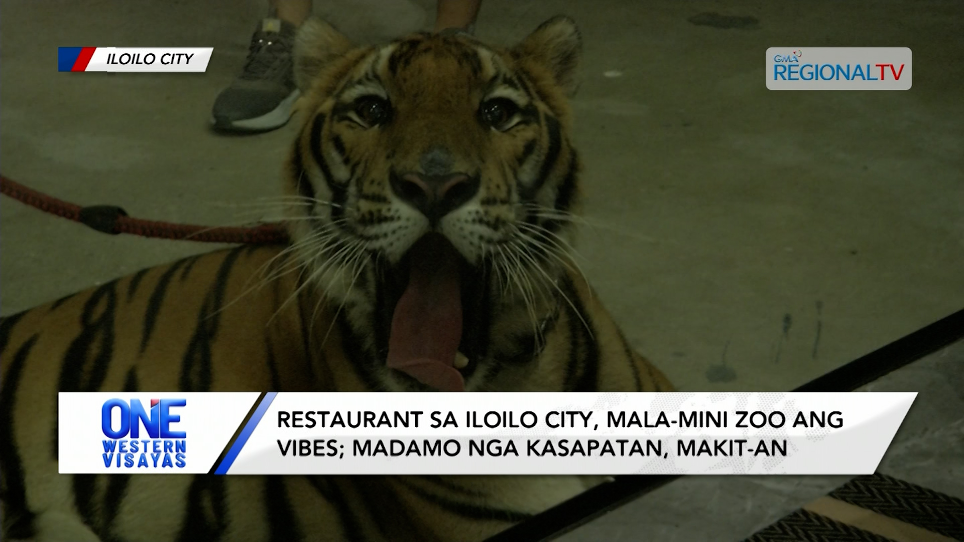 Restaurant sa Iloilo City, mala-mini zoo ang vibes; may madamo nga kasapatan