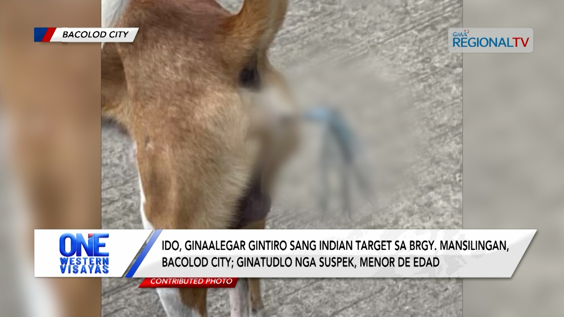 Ido, gintiro sang indian target sa Brgy. Mansilingan, Bacolod City