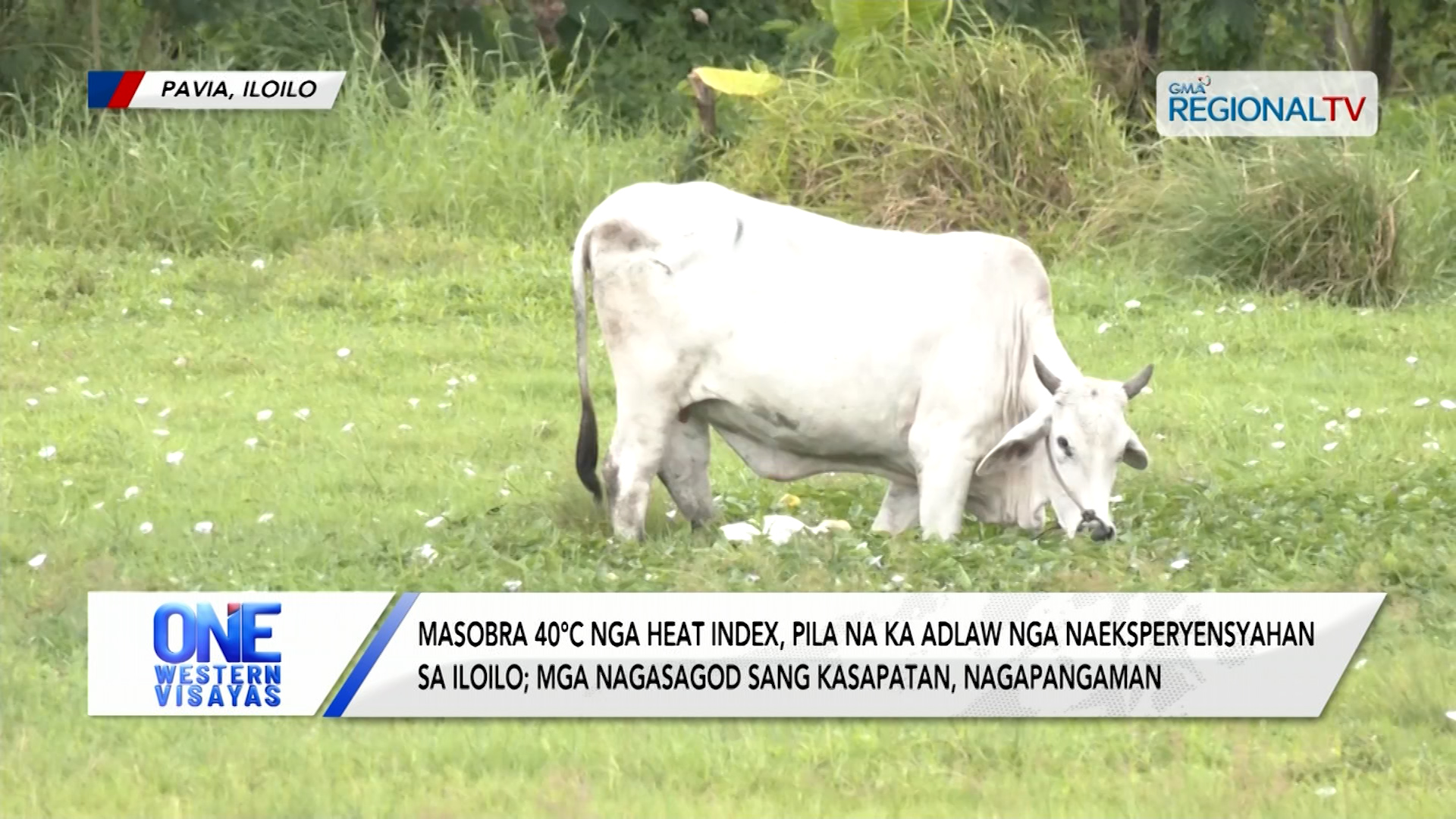 Masobra 40°c nga heat index, pila na ka adlaw nga naeksperyensyahan sa Iloilo