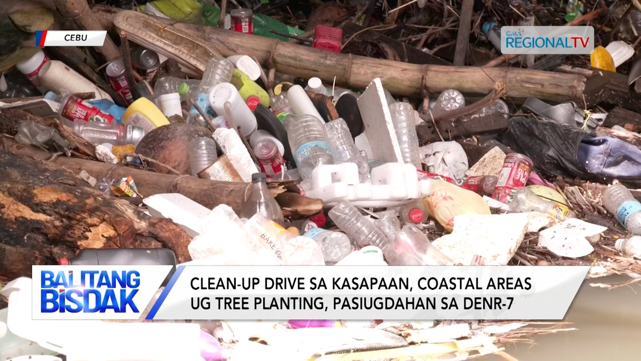 Clean-up drive ug tree planting, pasiugdahan sa DENR-7