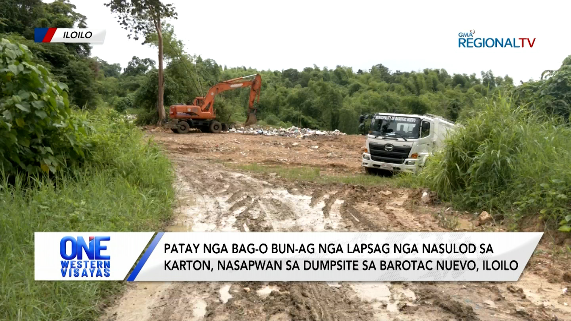Bag-o bun-ag nga lapsag, nasapwan sa dumpsite sa Barotac Nuevo, Iloilo | One Western Visayas