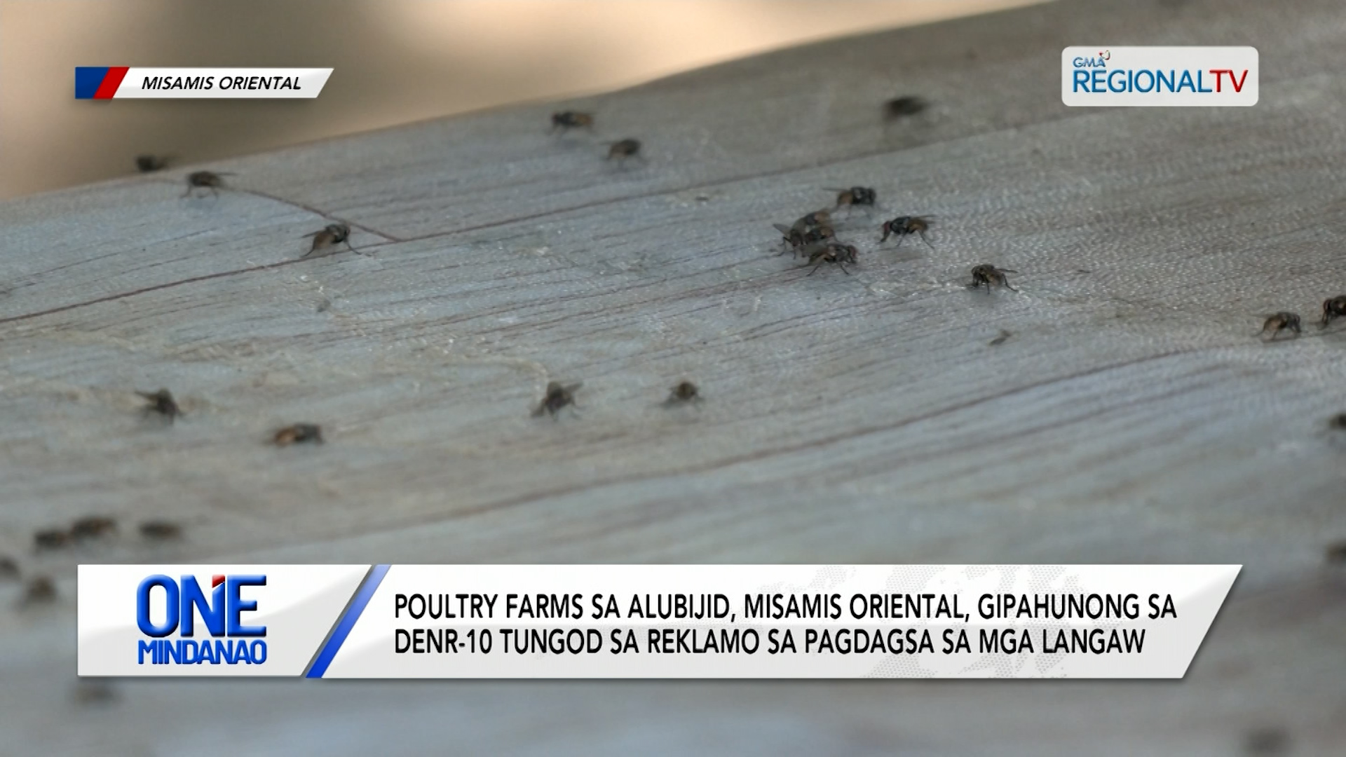 Poultry Farms sa Misamis Oriental, gipahunong sa  pagdagsa sa mga langaw | One Mindanao