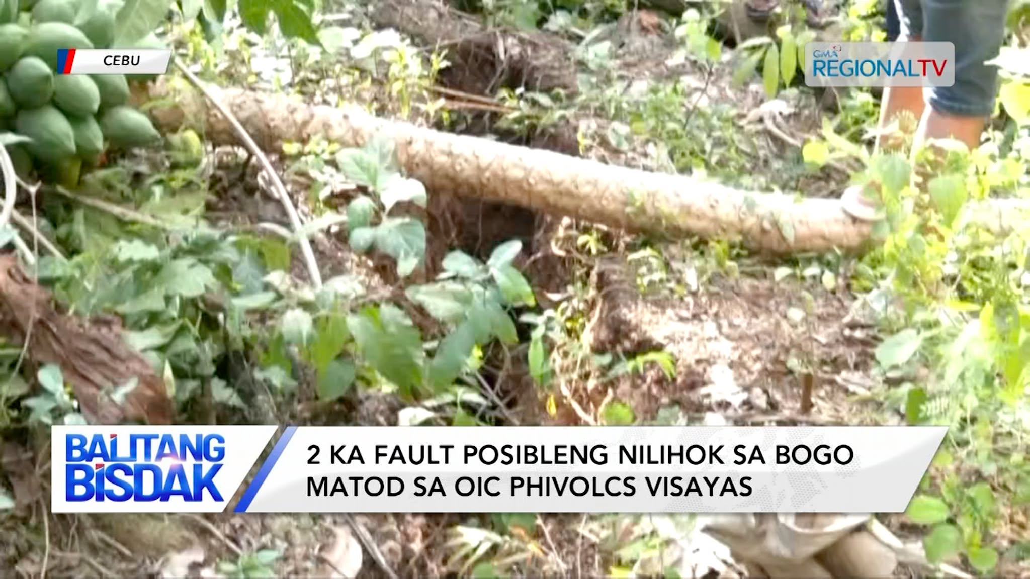 2 ka Faultline Posibleng Maoy Nilihok sa Northern Cebu | Balitang Bisdak