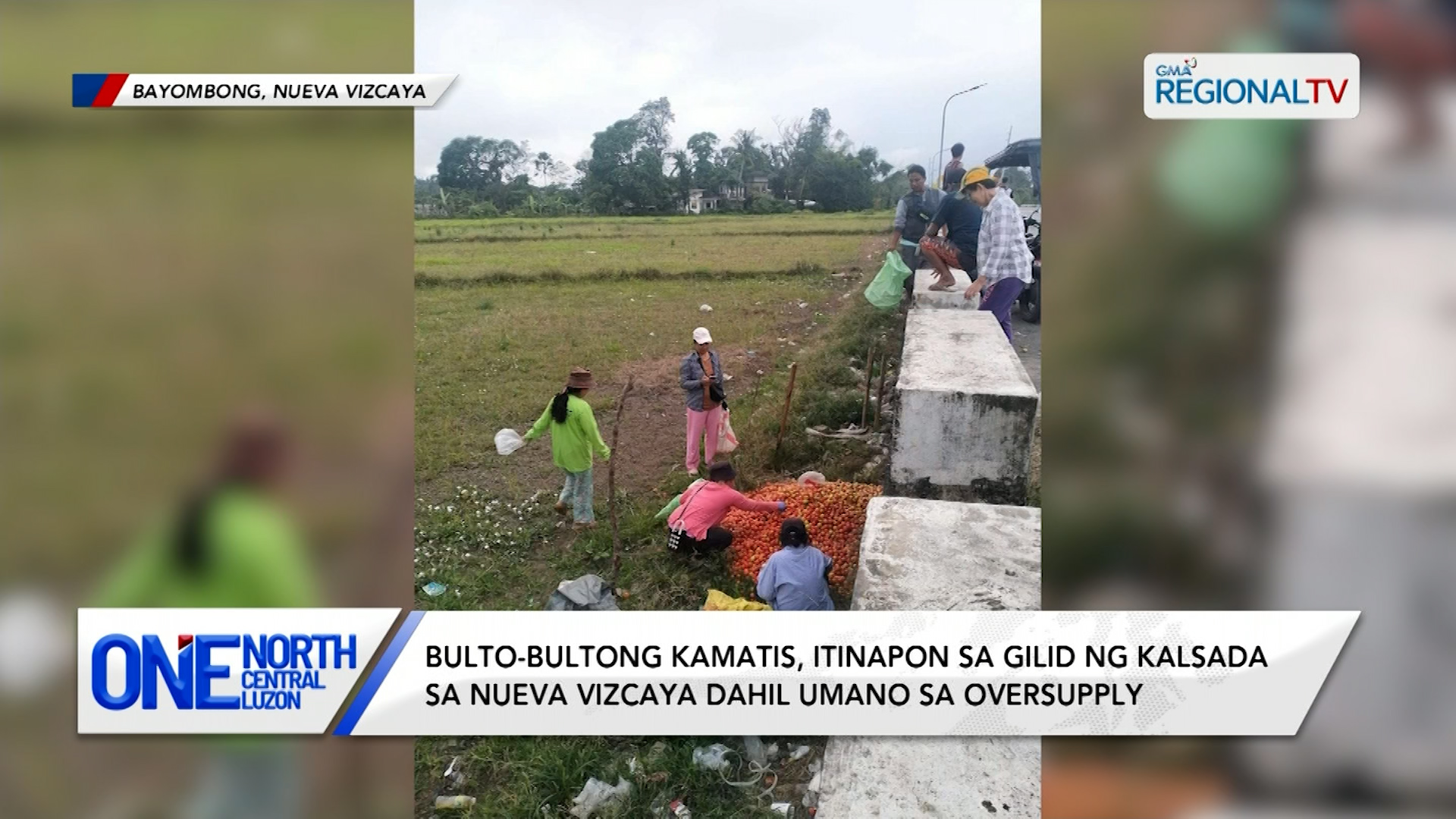 Bulto-bultong kamatis, itinapon sa gilid ng kalsada sa Nueva Vizcaya | One North Central Luzon