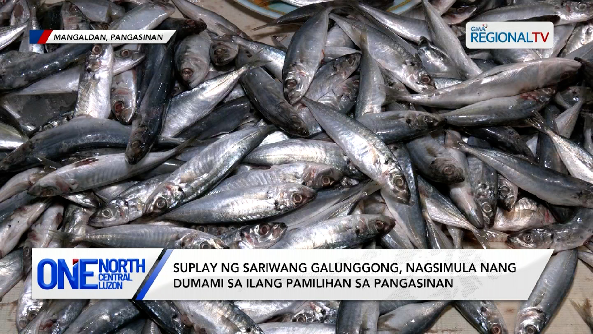 Suplay ng sariwang galunggong, nagsimula nang dumami sa ilang pamilihan | One North Central Luzon