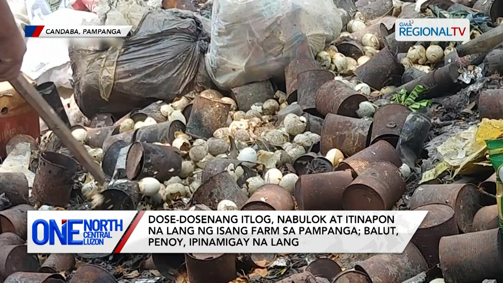 Dose-dosenang itlog, nabulok at itinapon na lang sa Pampanga | One North Central Luzon