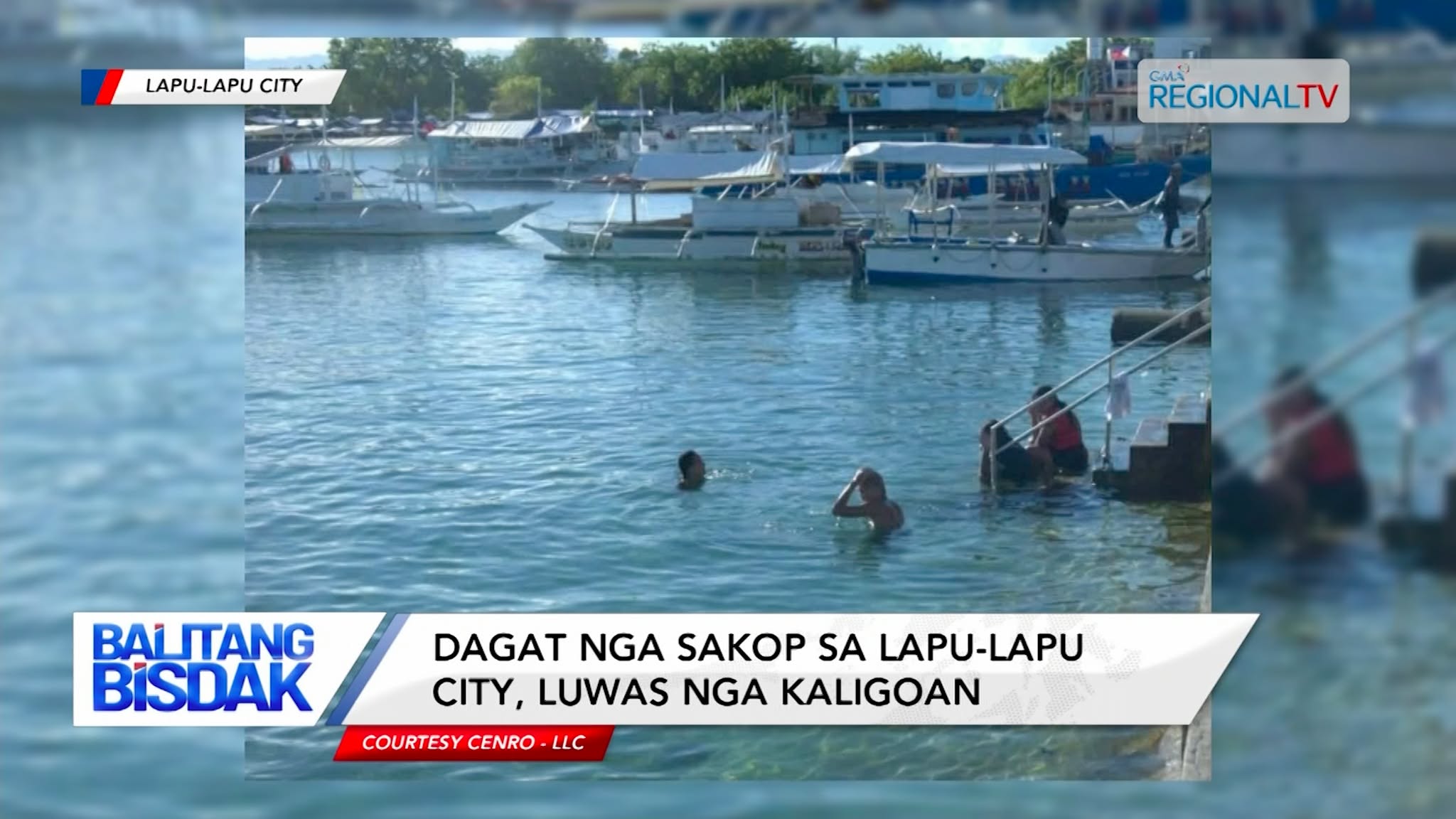 Walaý Jellyfish Sightings sa Dagat nga Sakop sa Lapu-Lapu City | Balitang Bisdak