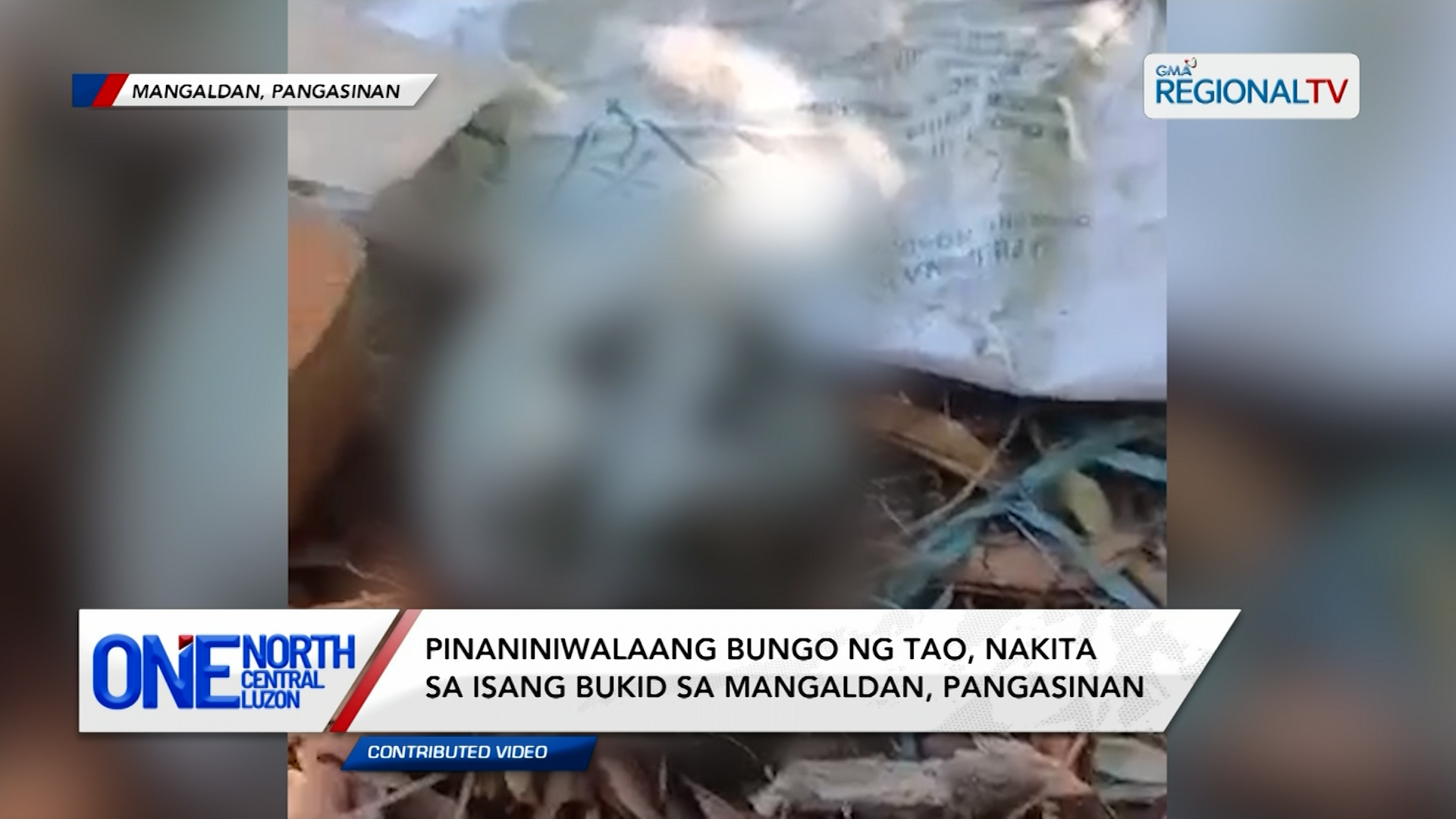 Pinaniniwalaang bungo ng tao, nakita sa bukid sa Mangaldan | One North Central Luzon