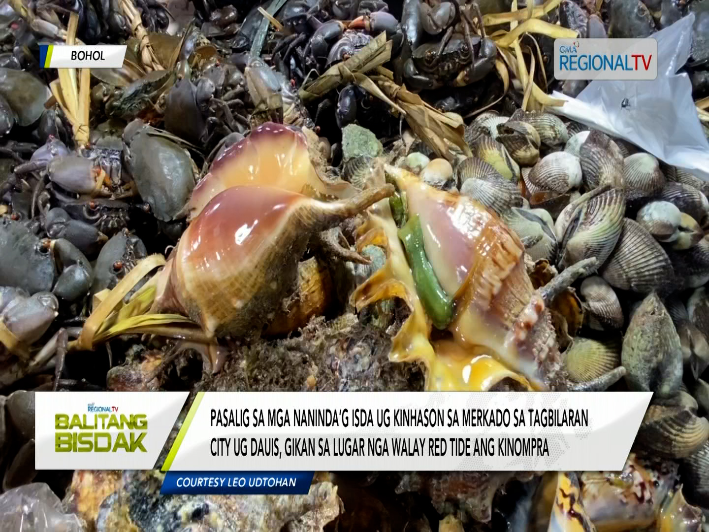 Pahibaw sa BFAR kabahin sa presensya sa Red Tide sa Bohol