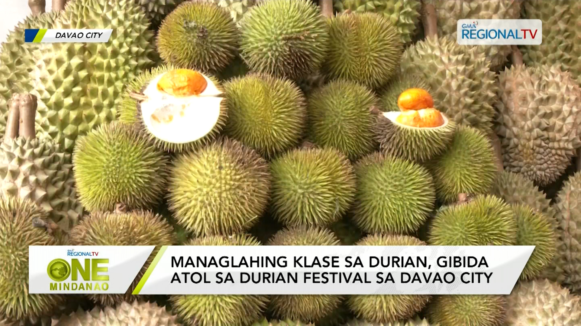 Managlahing klase sa Durian, gibida sa Durian Festival sa Davao City