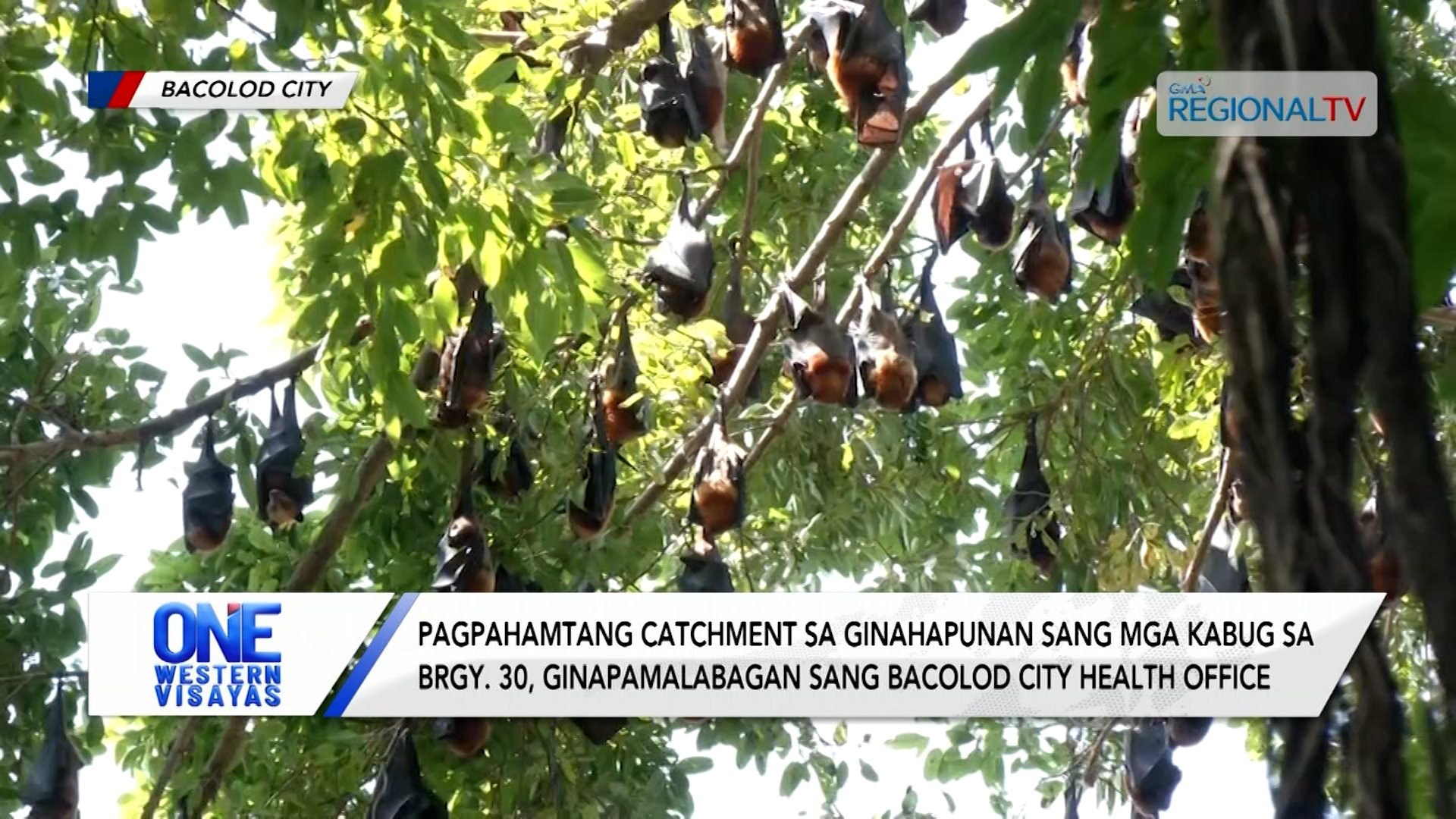 Pagbutang sang catchment sa ginahapunan sang mga kabug ginapamalabagan sang CHO