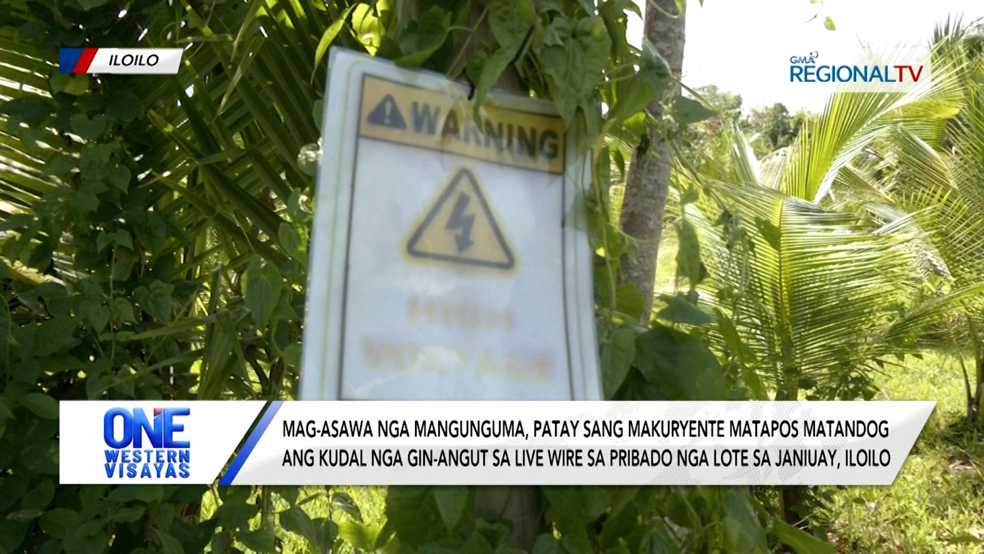 Mag-asawa nga mangunguma, patay sang makuryente sang live wire sa kudal