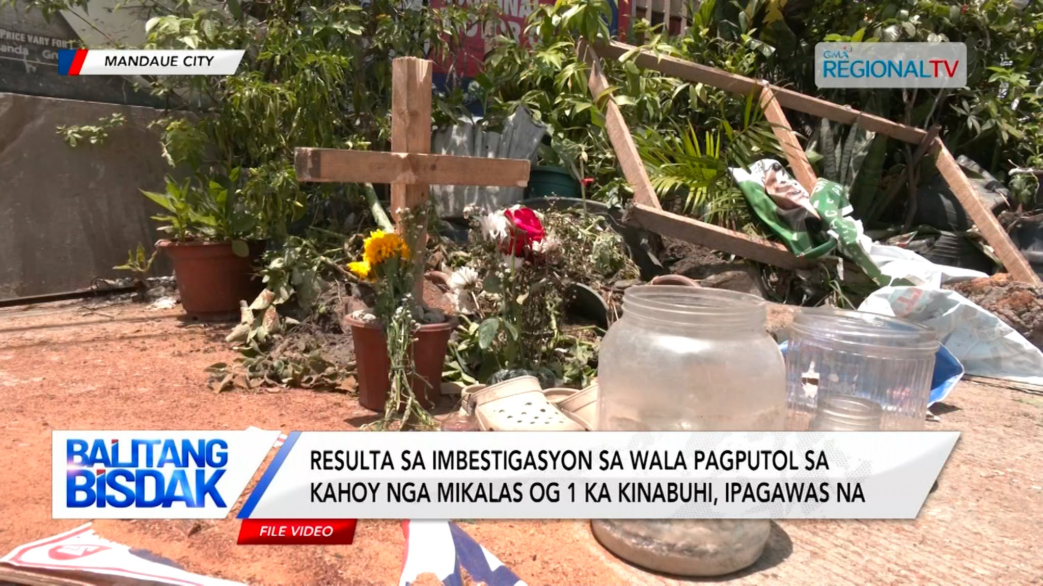 Resulta sa imbestigasyon sa wala pagputol sa punoang buli sa Mandaue, ipagawas na