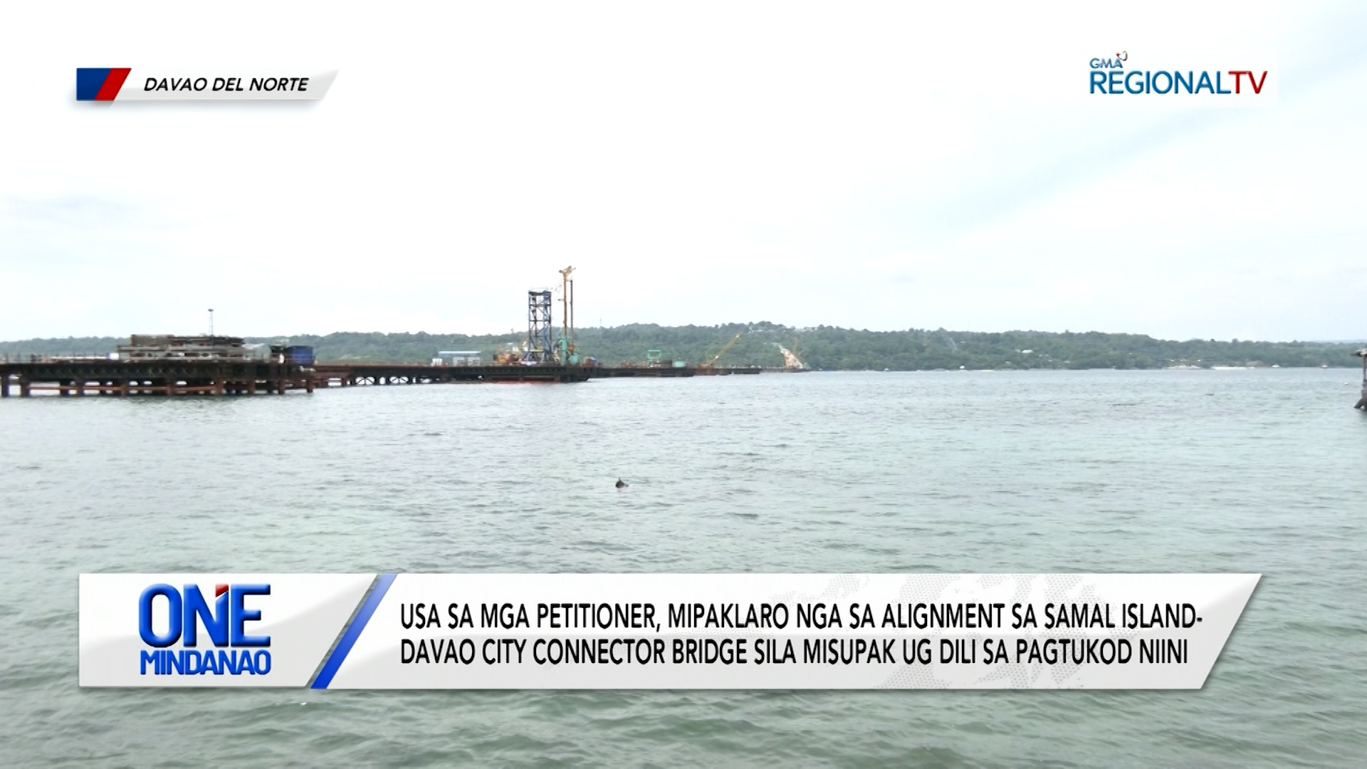 Usa sa petitioners, mipaklaro sa alignment sa Samal Island-Davao City Bridge