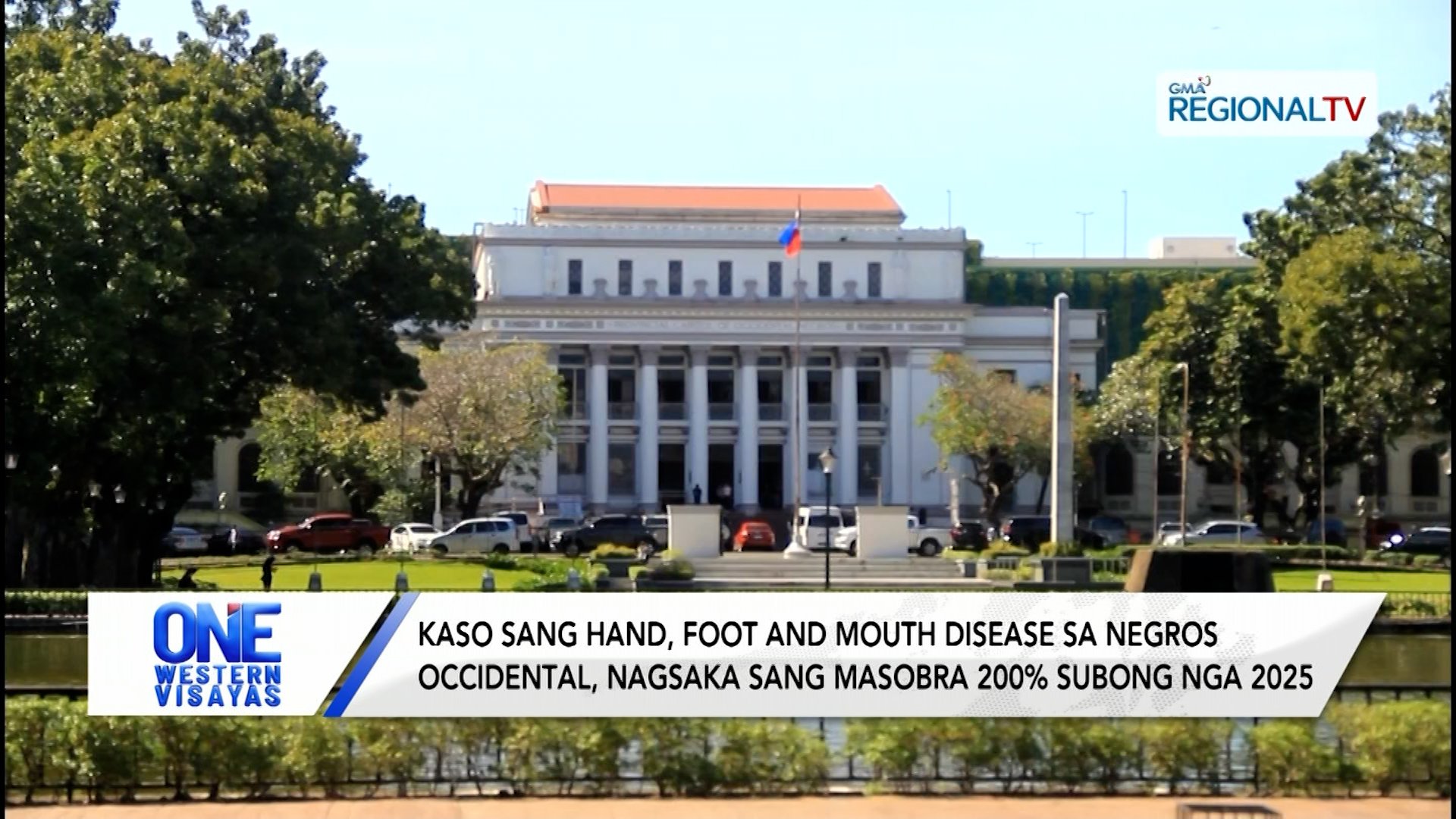 Hand, foot and mouth disease cases sa Negros Occidental, nagsaka sang 200%
