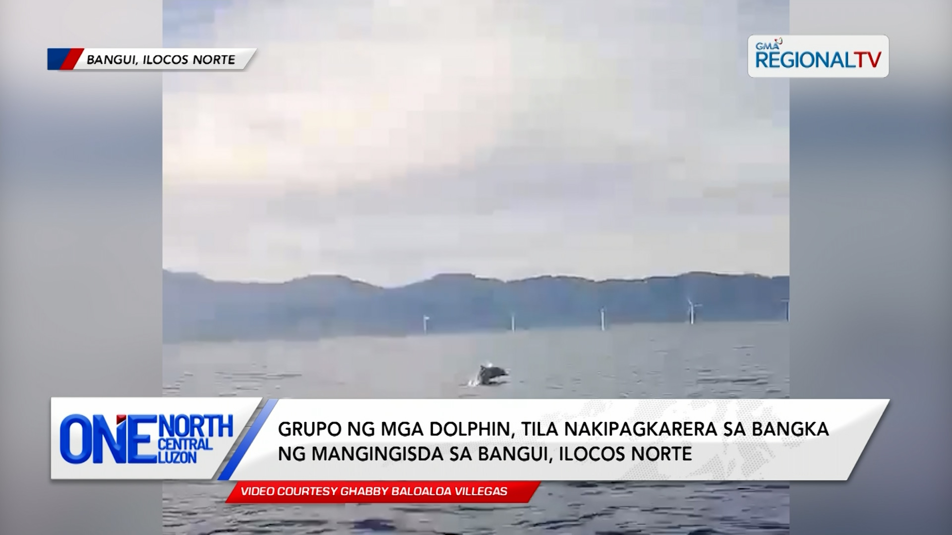 Grupo ng mga dolphin, tila nakipagkarera sa bangka ng mangingisda | One North Central Luzon