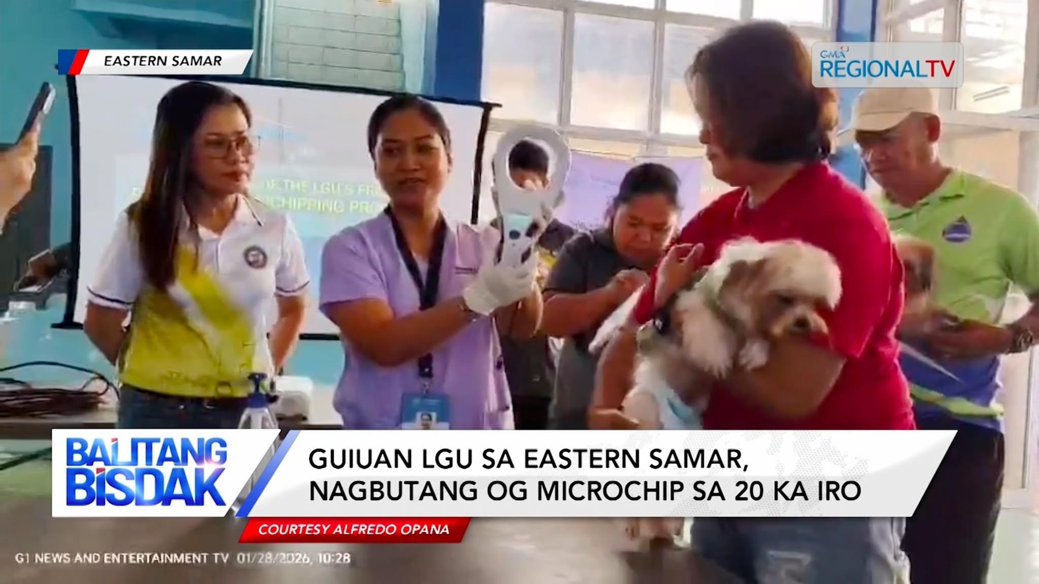 Guiuan LGU sa Eastern Samar, Nagbutang og Microchip sa 20 ka mga Iro | Balitang Bisdak