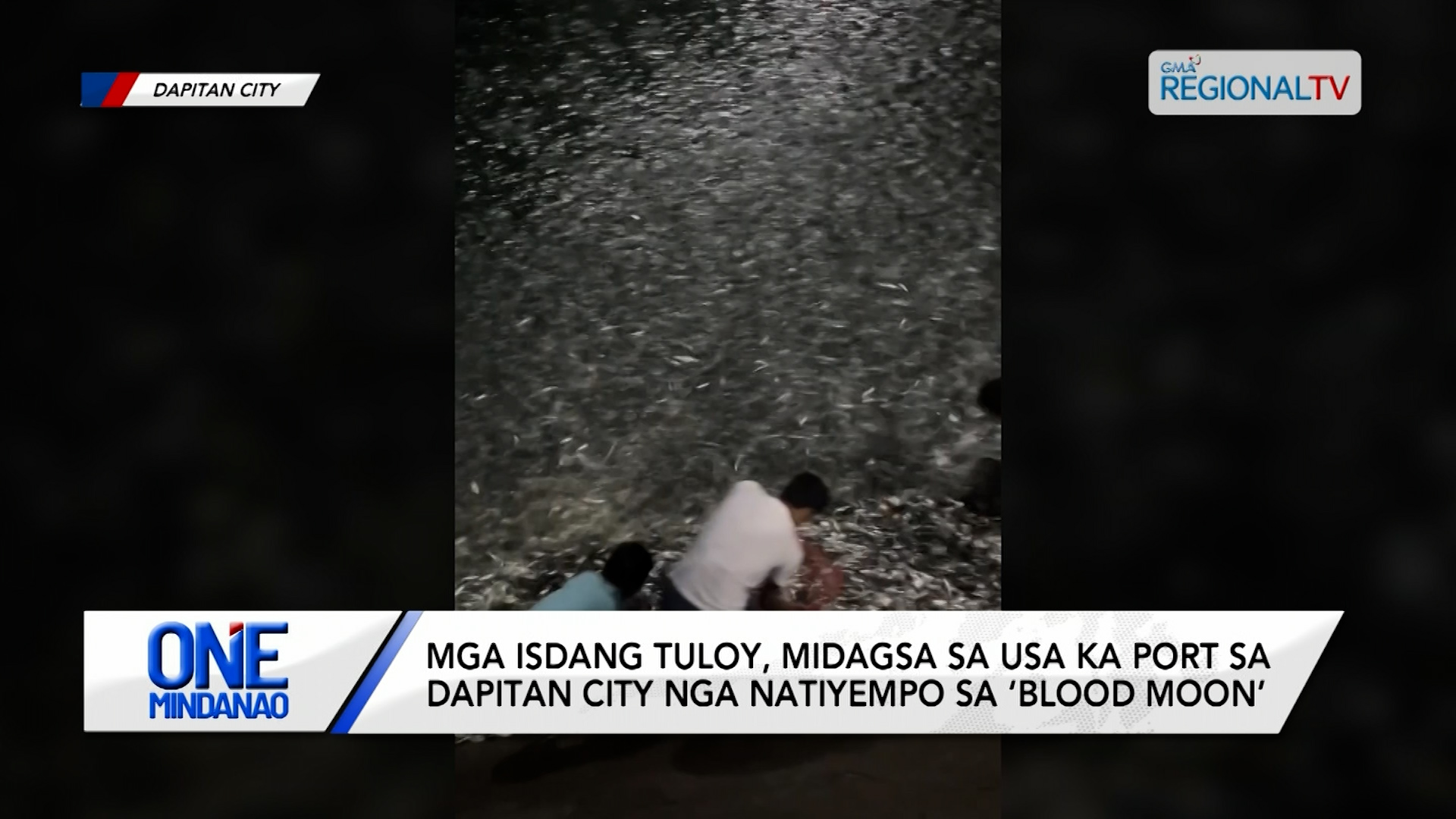Mga isdang tuloy, midagsa sa usa ka port sa Dapitan City | One Mindanao