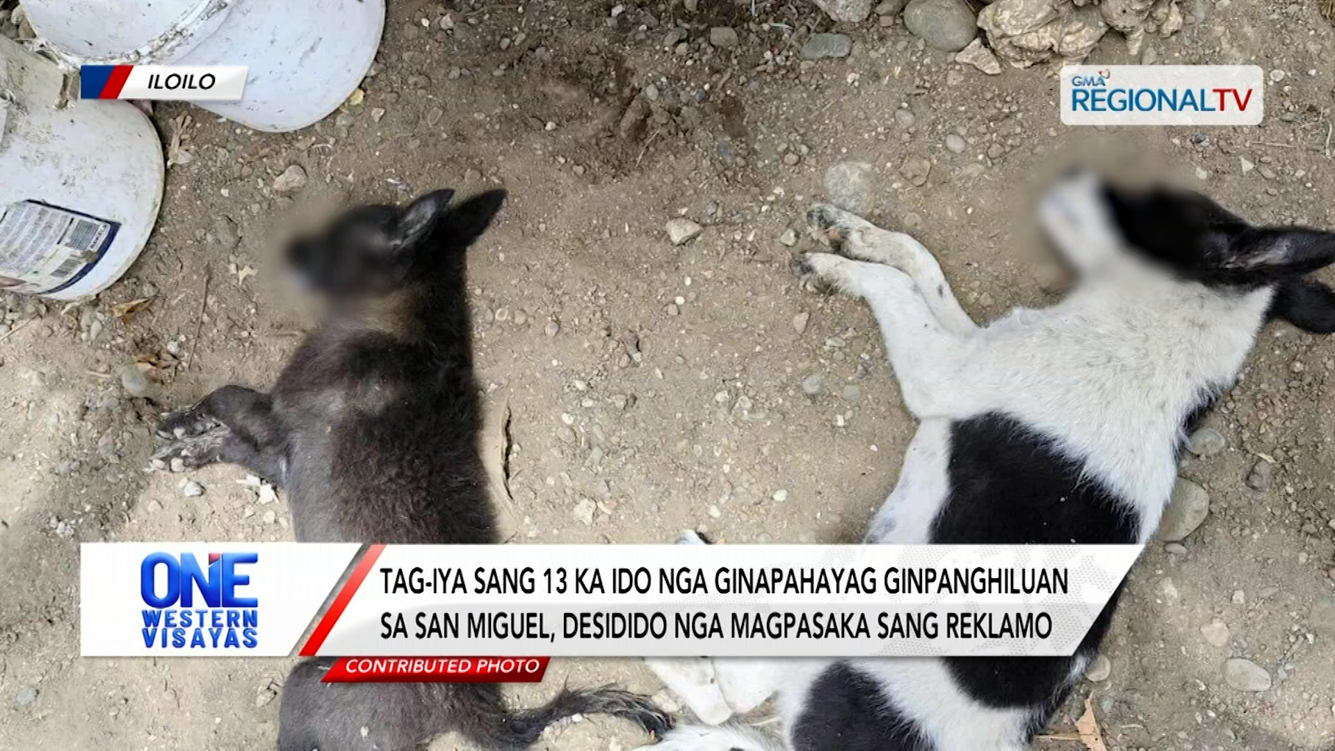 Tag-iya sang 13 ka ido nga ginpanghiluan sa San Miguel, magapasaka sang reklamo| One Western Visayas