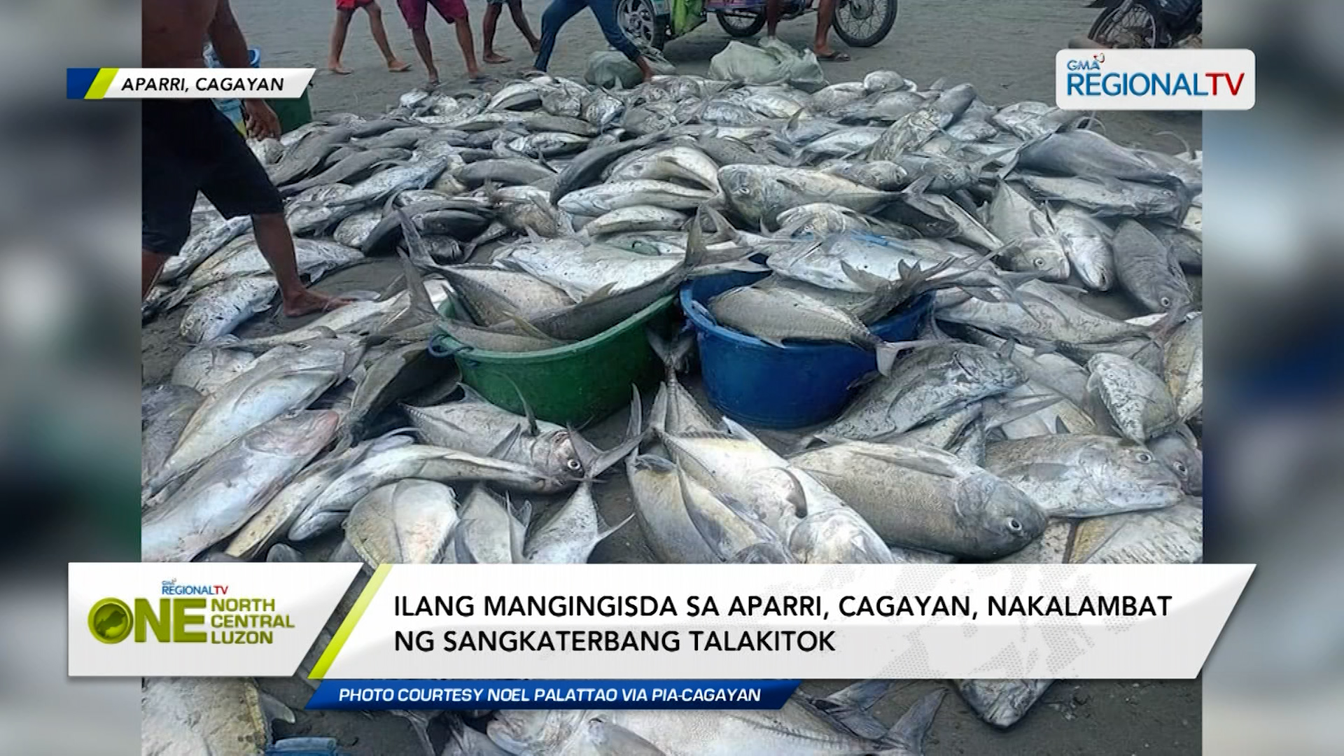 Ilang mangingisda sa Aparri, Cagayan, nakalambat ng sangkaterbang talakitok