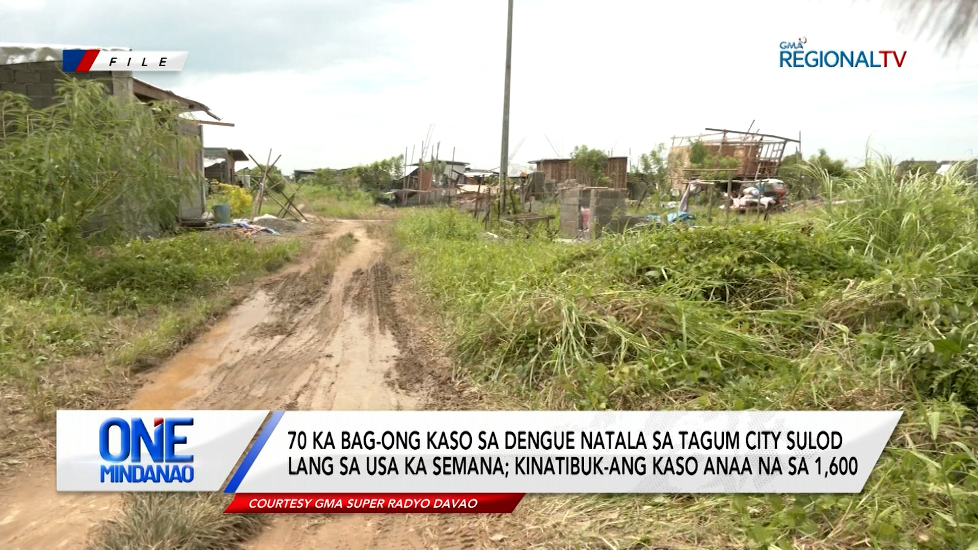 70 ka bag-ong kaso sa Dengue natala sa Tagum City