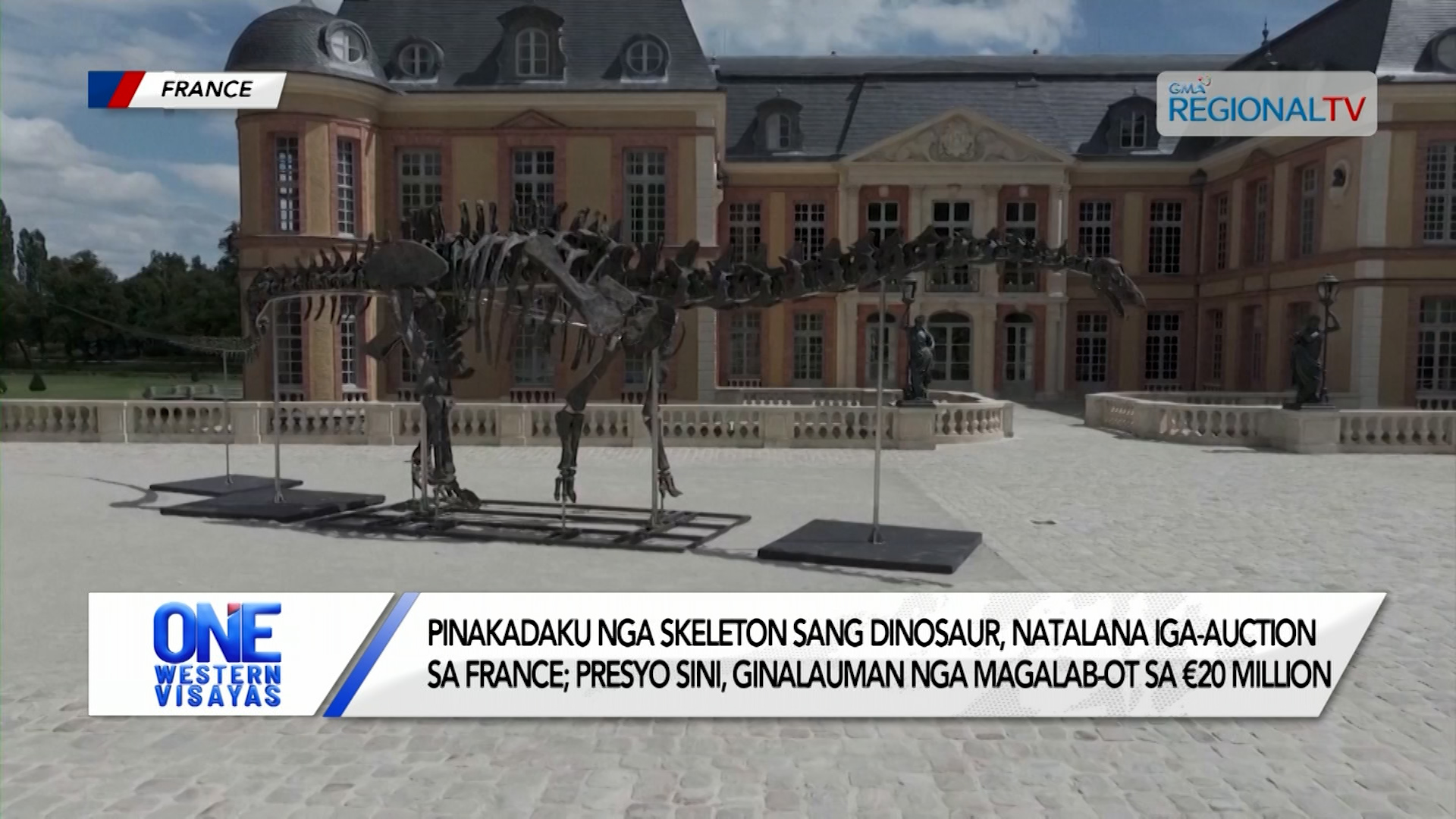 Pinakadaku nga skeleton sang dinosaur, natalana iga-auction sa France