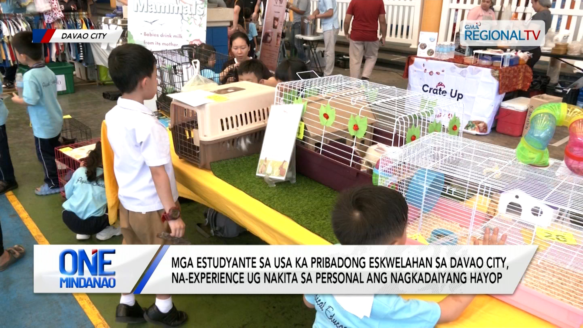 Mga estudyante sa usa ka eskwelahan, n nakita ang nagkadaiyang hayop