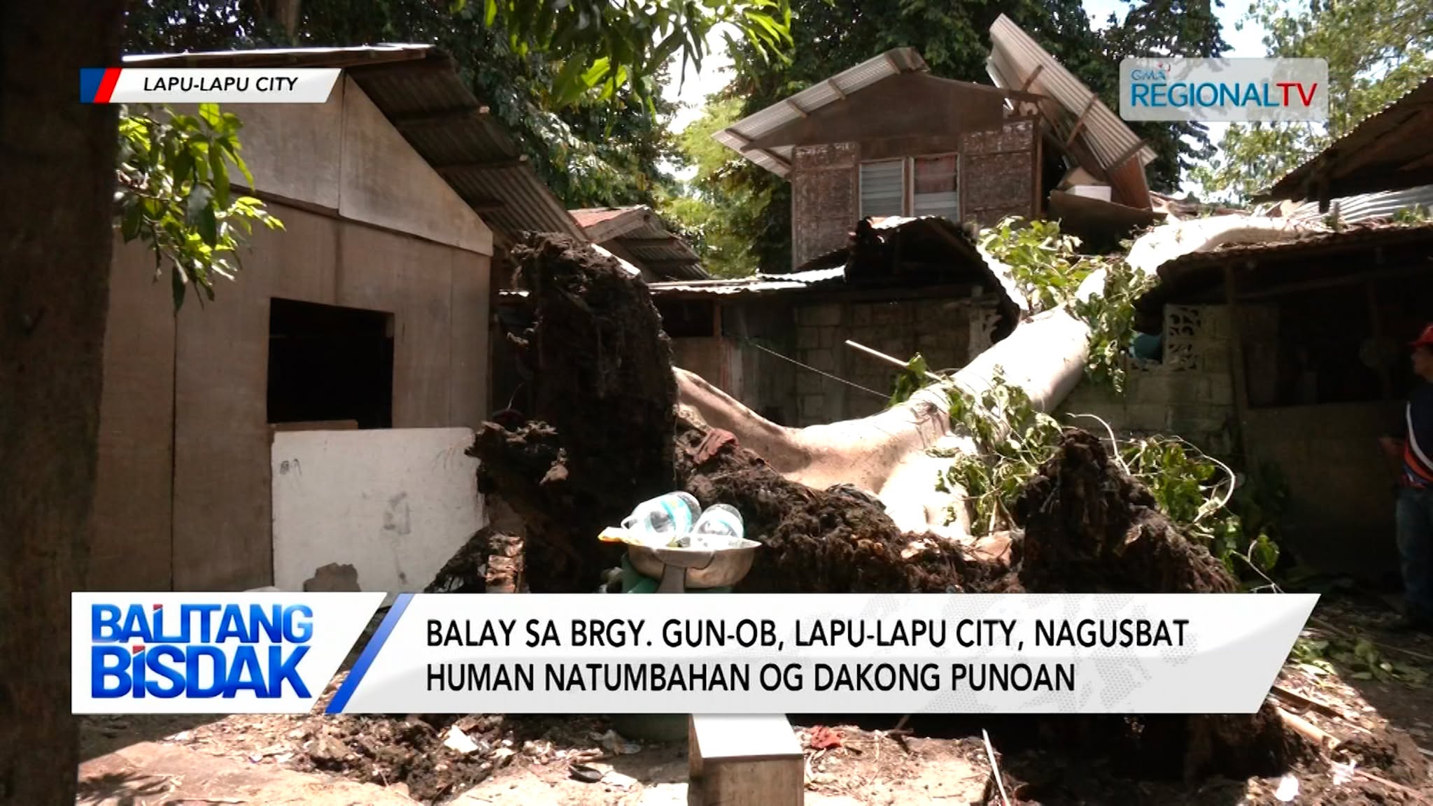 Balay sa Brgy. Gun-ob, nagusbat human natumbahan og dakong punoan