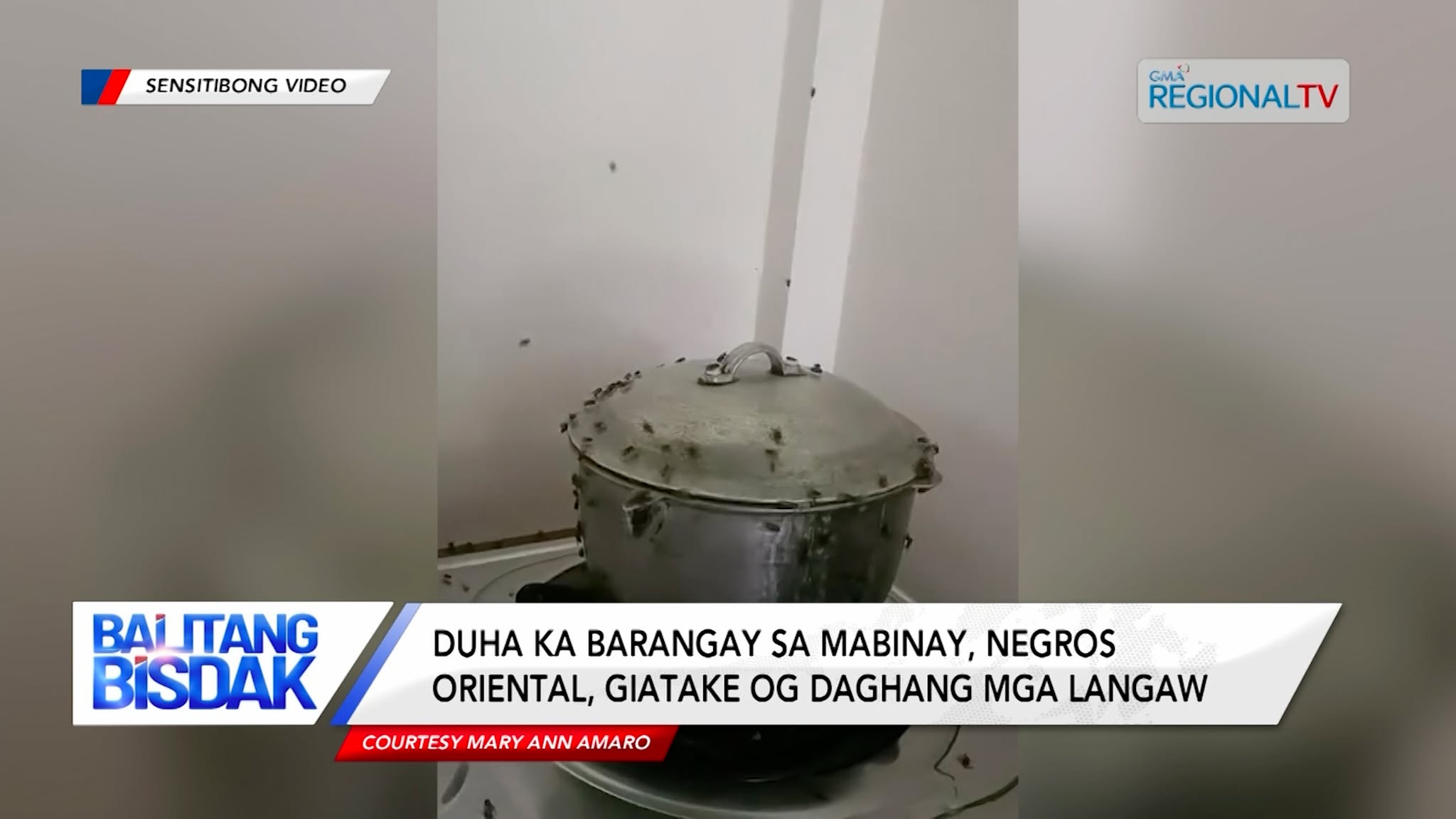 2 ka barangay sa Mabinay, Negros Oriental, giatake og daghang mga langaw