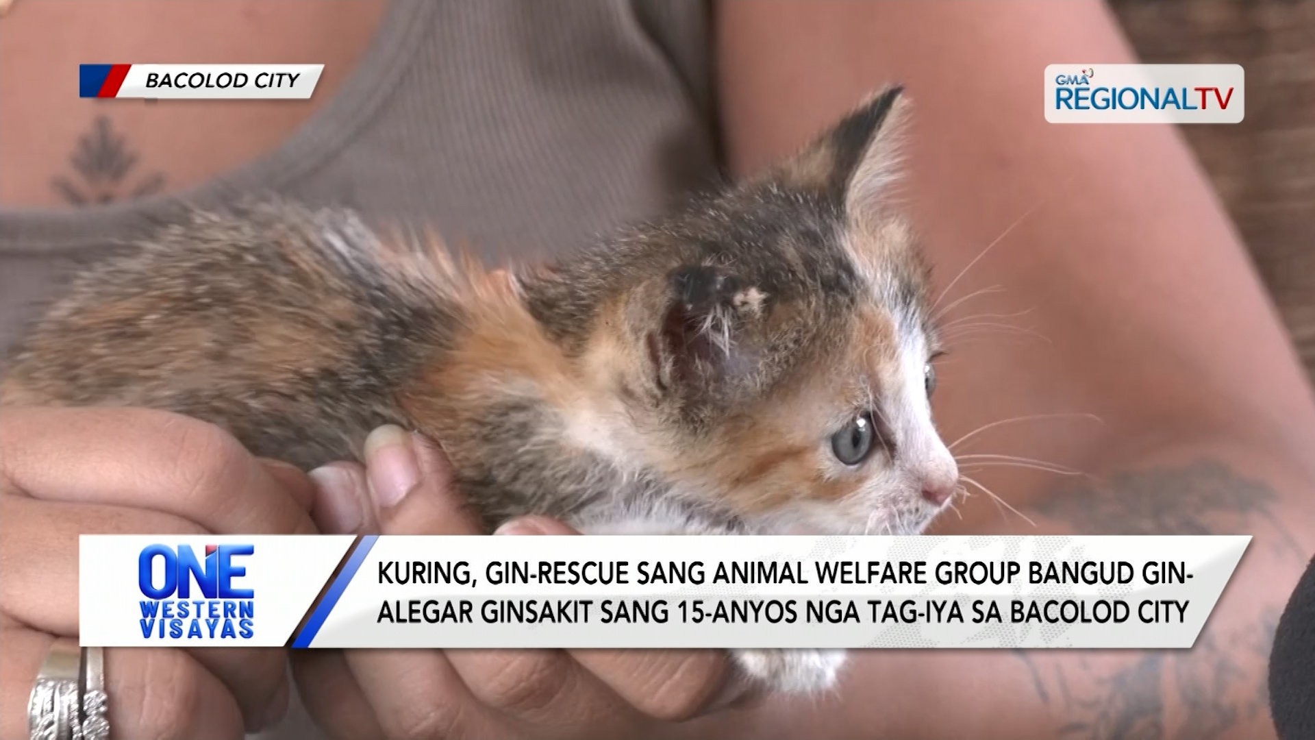 Kuring gin-rescue sang animal welfare group bangud ginsakit sang 15-anyos