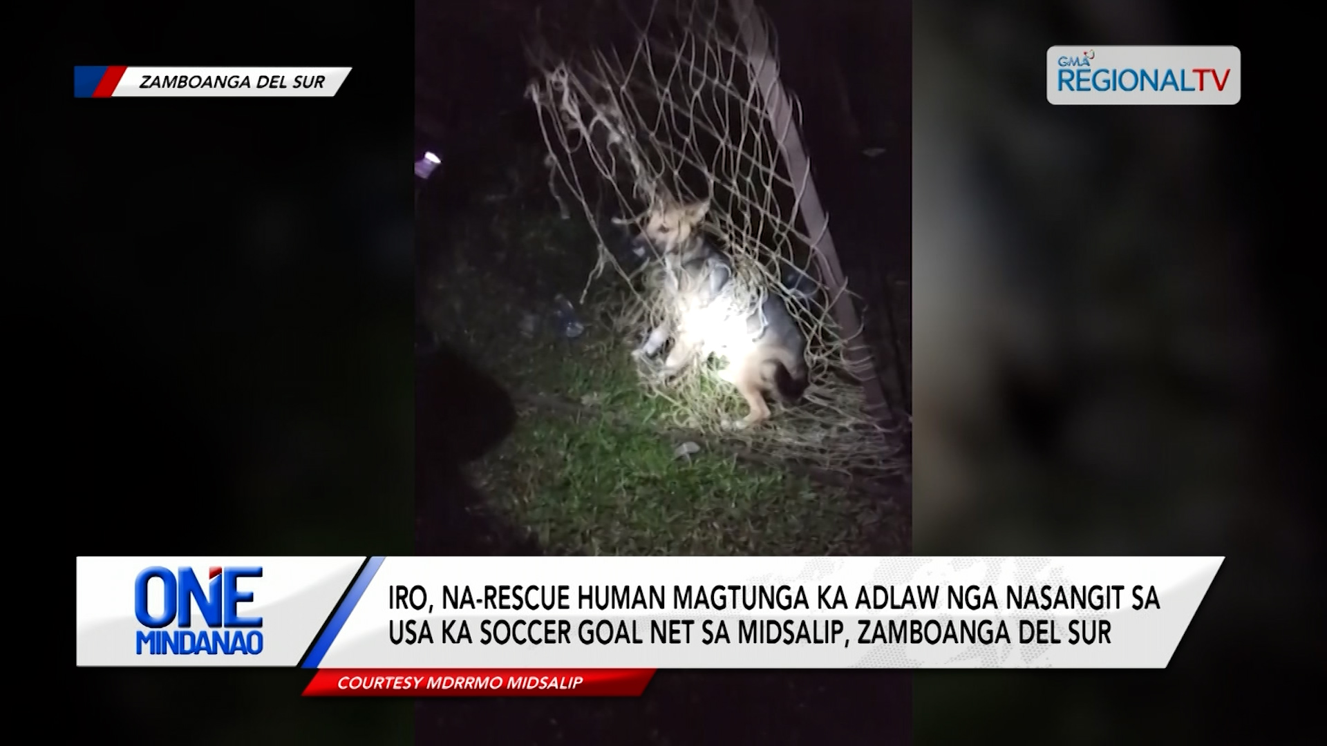 Iro, na-rescue human nasangit sa usa ka soccer goal net sa Zamboanga del Sur | One Mindanao