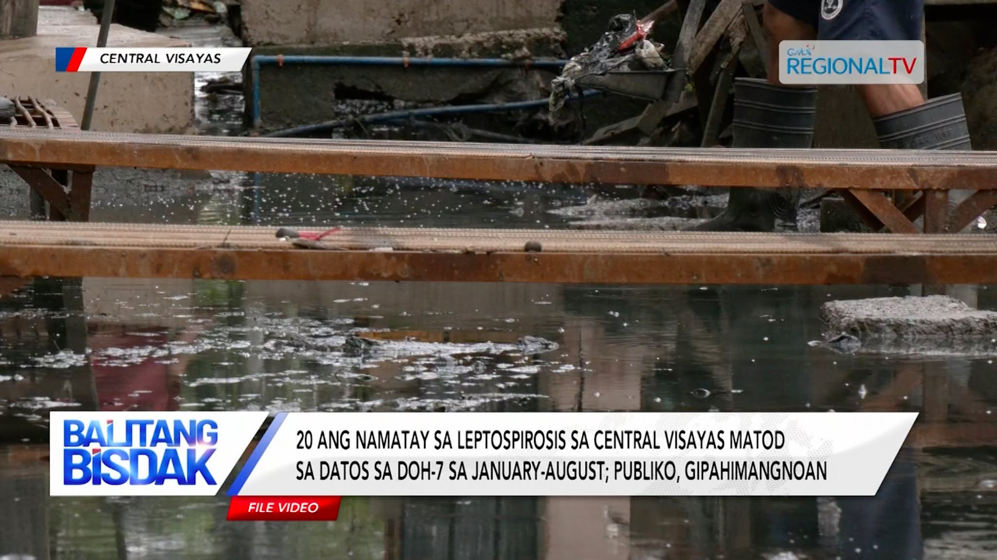 20 ka mga Tawo sa Central Visayas Namatay sa Leptospirosis | Balitang Bisdak