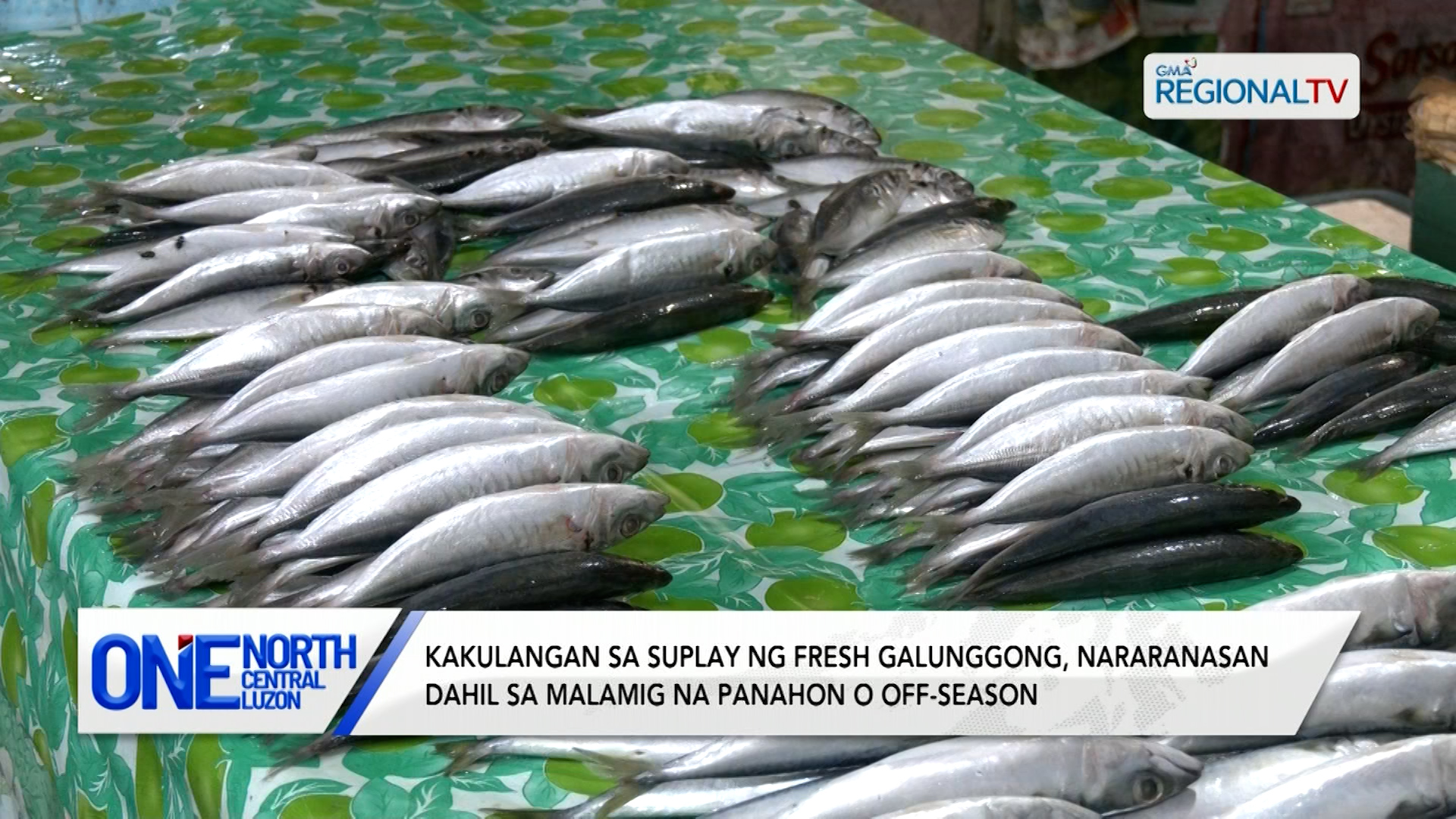Kakulangan sa suplay ng fresh galunggong, nararanasan  | One North Central Luzon