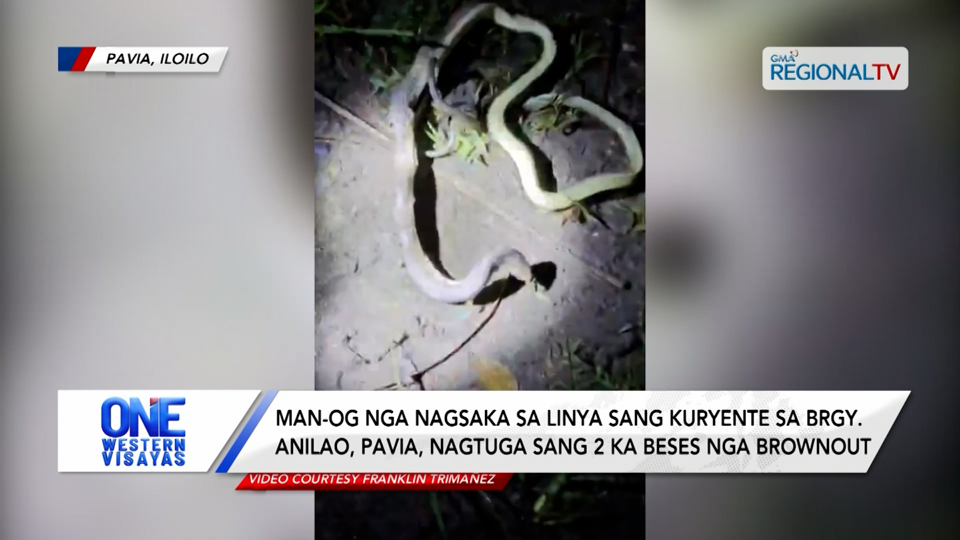 Man-og nga nagsaka sa linya sang kuryente sa Pavia, nagtuga sang brownout | One Western Visayas