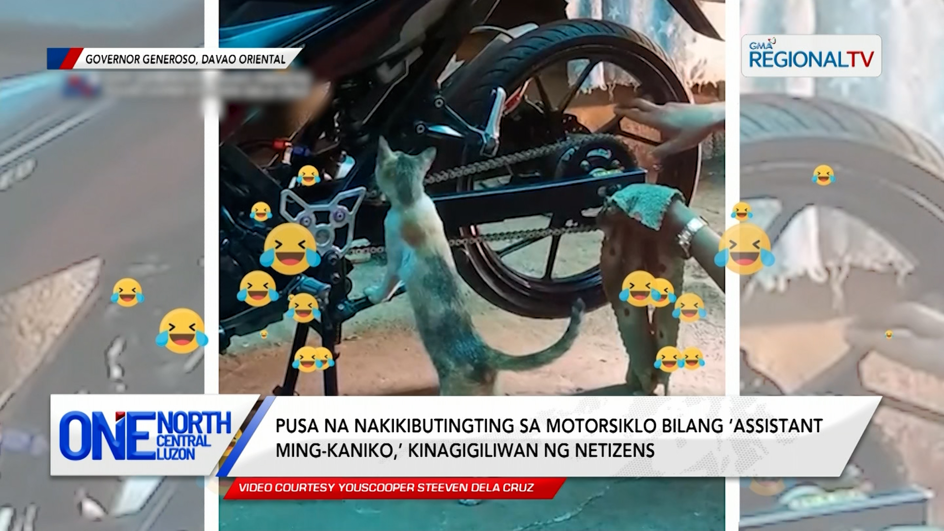 Pusa na ‘assistant ming-kaniko,’ kinagigiliwan ng netizens | One North Central Luzon