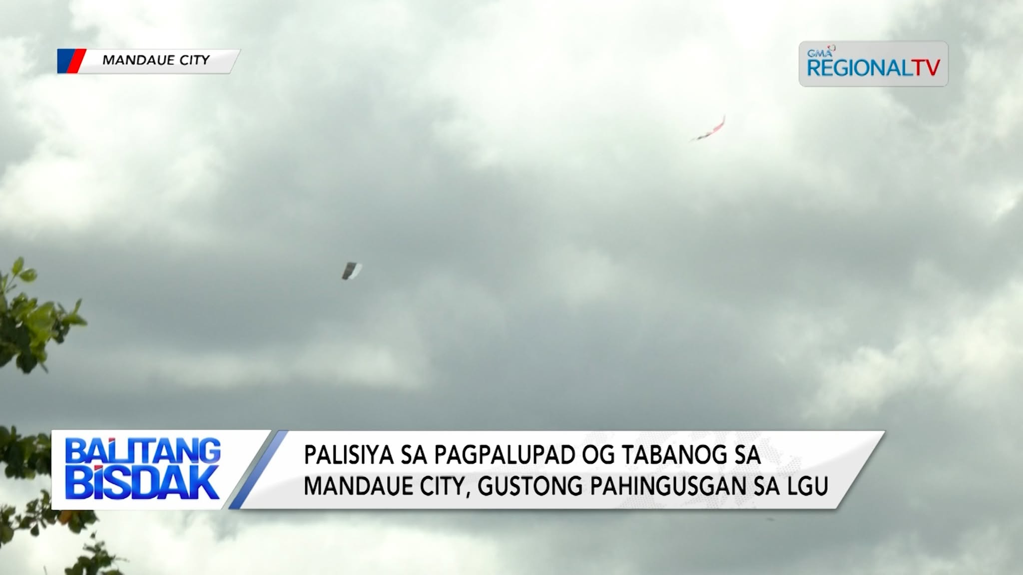 Palisiya sa Pagpalupad og Tabanog sa Mandaue City, Pahingusgan | Balitang Bisdak