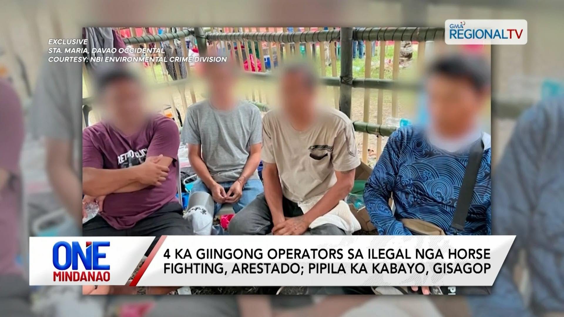4 arestado sa ilegal nga horse fighting sa Sta. Maria, Davao Occidental I One Mindanao