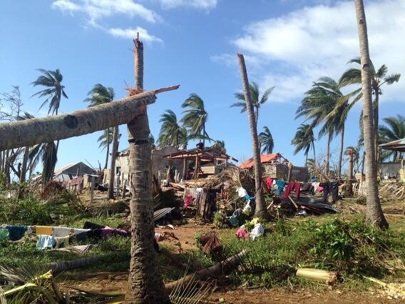 Visayas coconut farmers face ruin after Typhoon Yolanda | GMA News Online