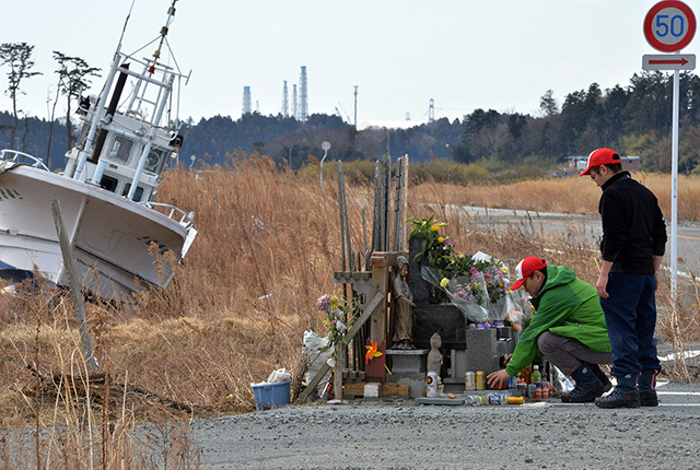 Mutations, DNA damage seen in Fukushima forests —Greenpeace | GMA News