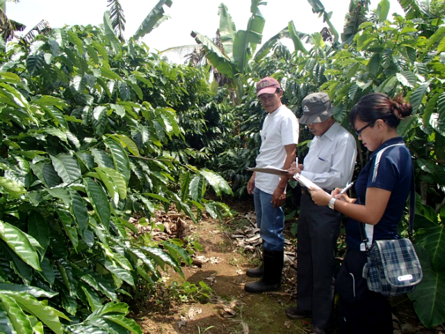 Outstanding coffee farmers in Cavite recognized during 12th Pahimis Festival