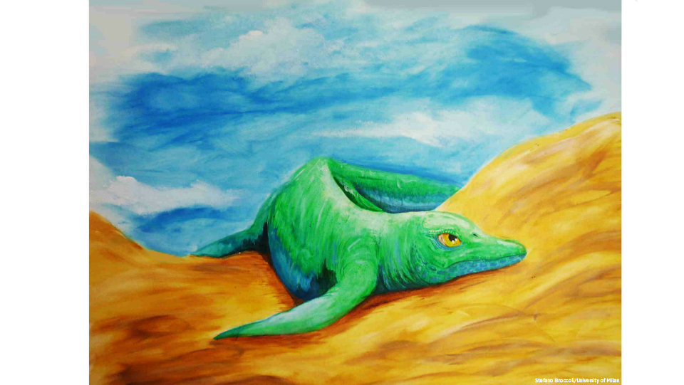 the dinosaur and the missing link