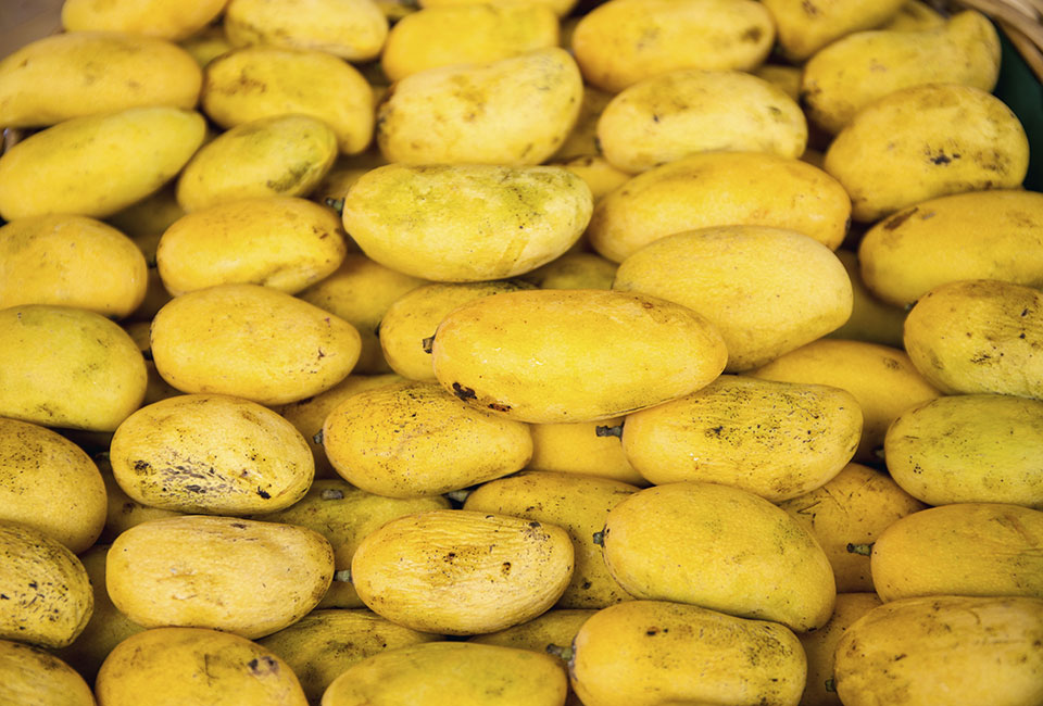 Mangoes, papayas selling at low prices in QC market amid high supply