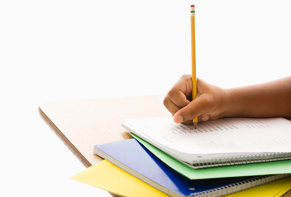 Govt urged to hire unemployed new college grads to tutor students