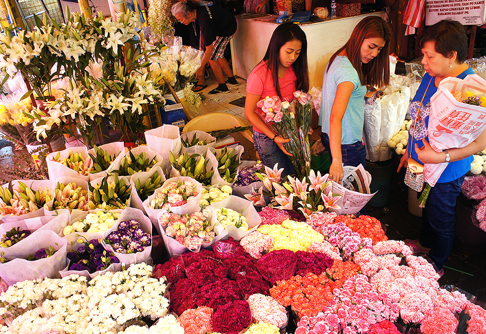 Dangwa flower prices rise as All Souls’ Day draws near GMA News Online