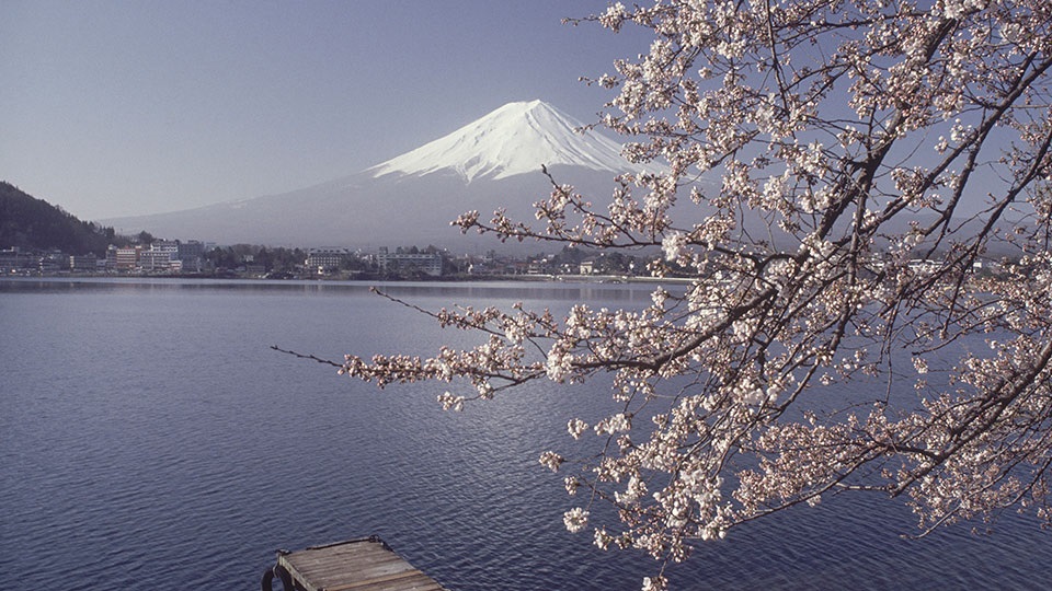 Japan”s new births fall to record low in 2023 as demographic woes deepen