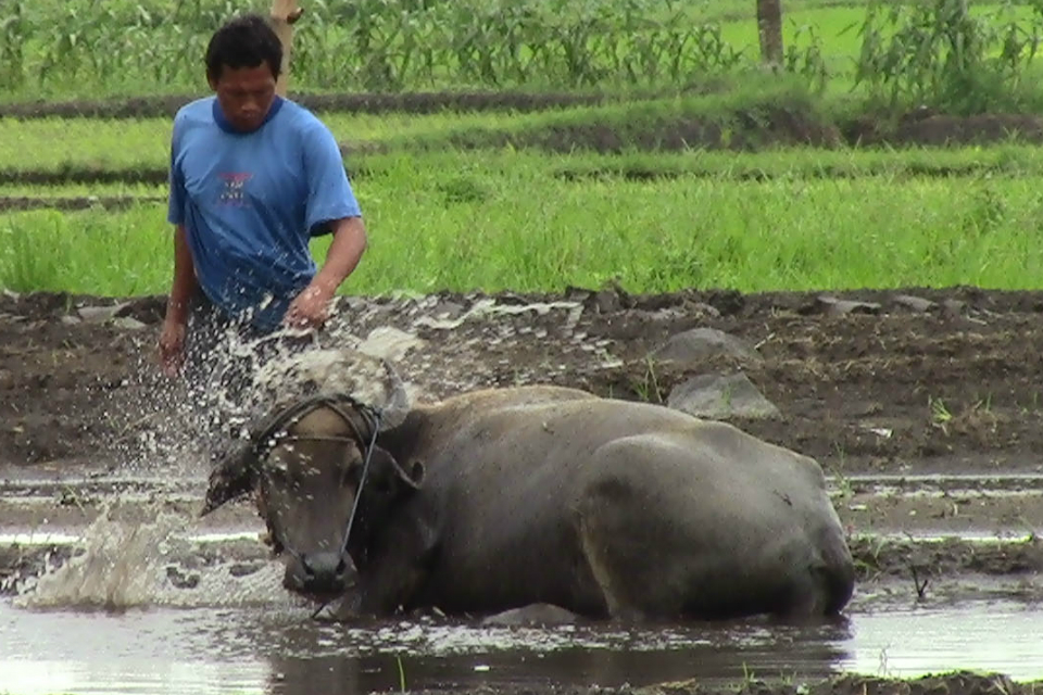 DA targets August release of farmland conversion guidelines