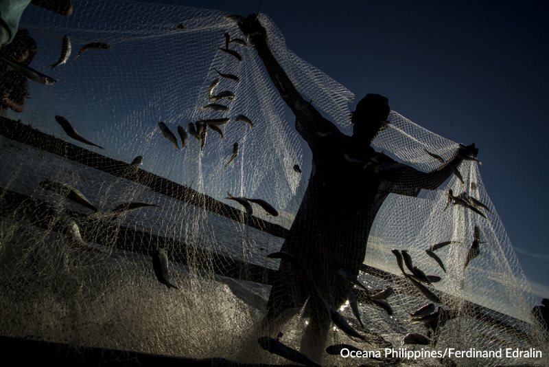 Oceana, fisherfolk oppose Marcos' call to change Fisheries Code