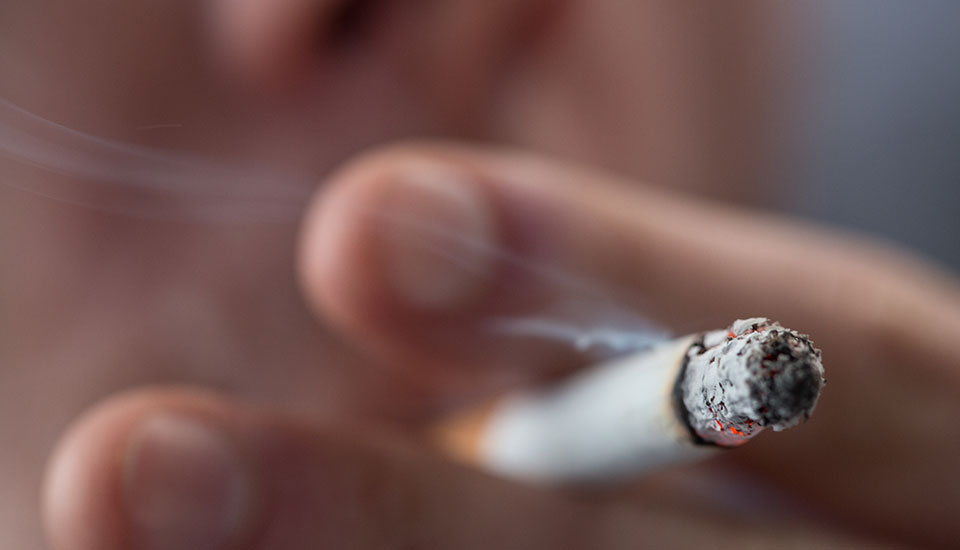 AS berupaya untuk secara drastis mengurangi kandungan nikotin dalam rokok GMA News Online