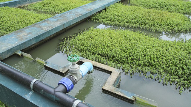 Duterte signs free irrigation law